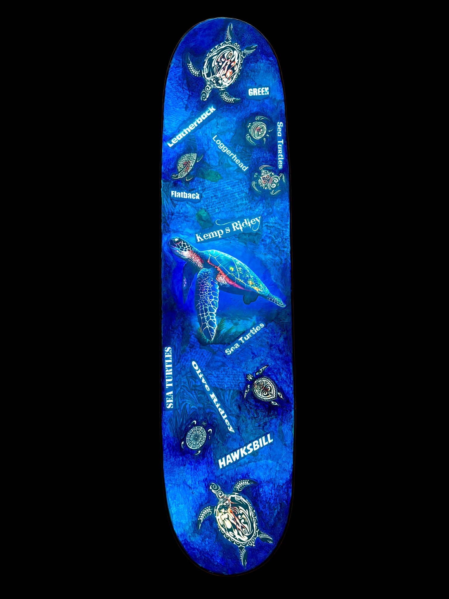 Sea Turtle Skateboard Deck (1 of 1)